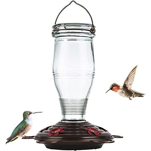 12 Best Hummingbird Feeders in 2022 - Hummingbird Feeders on Sale