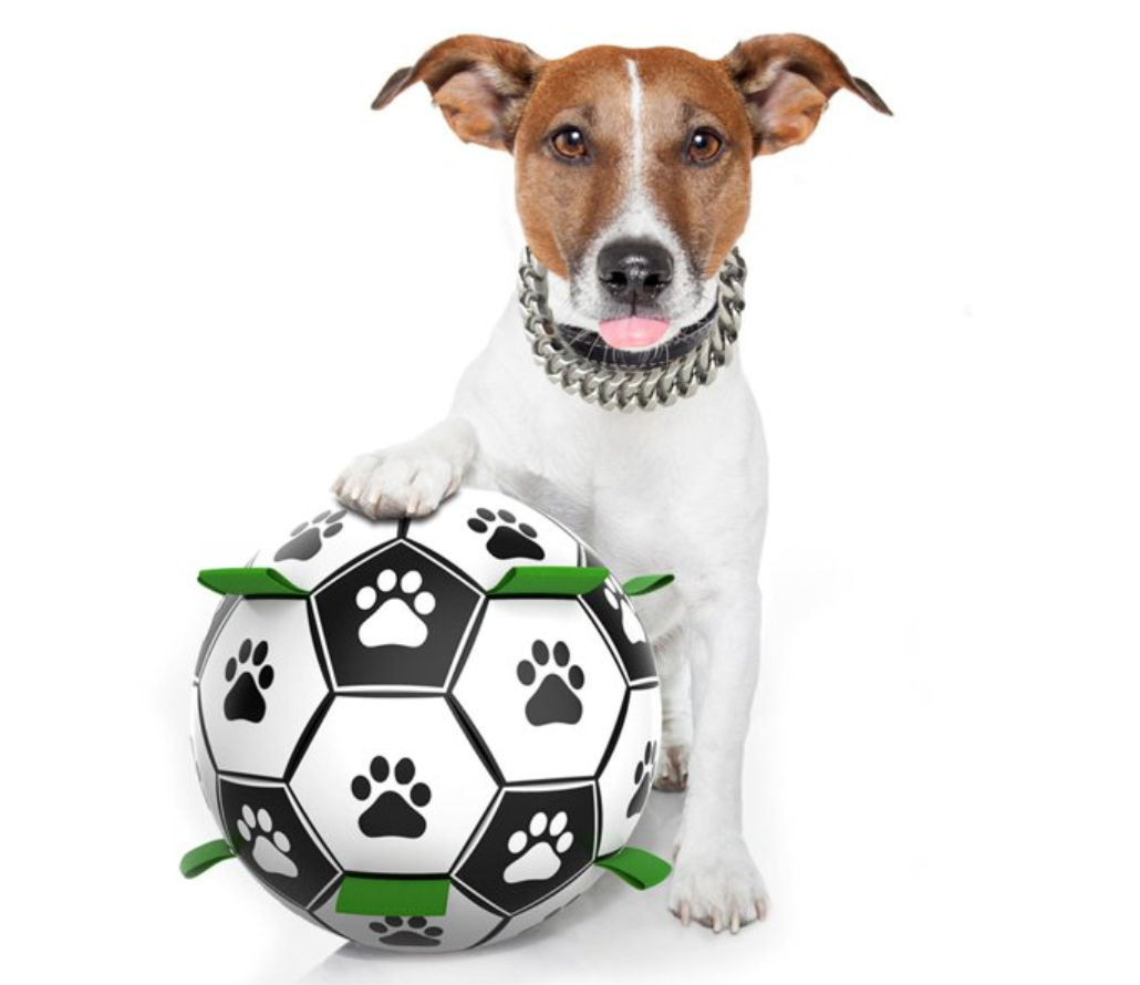 Get a Game Going With a Dog-Friendly Soccer Ball