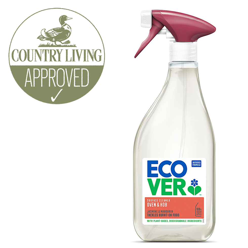 Best eco-friendly oven cleaners 2022 – our winner beat Mr Muscle