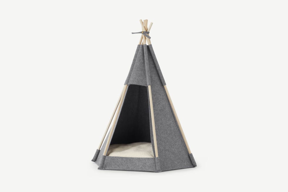 Un simpático tipi