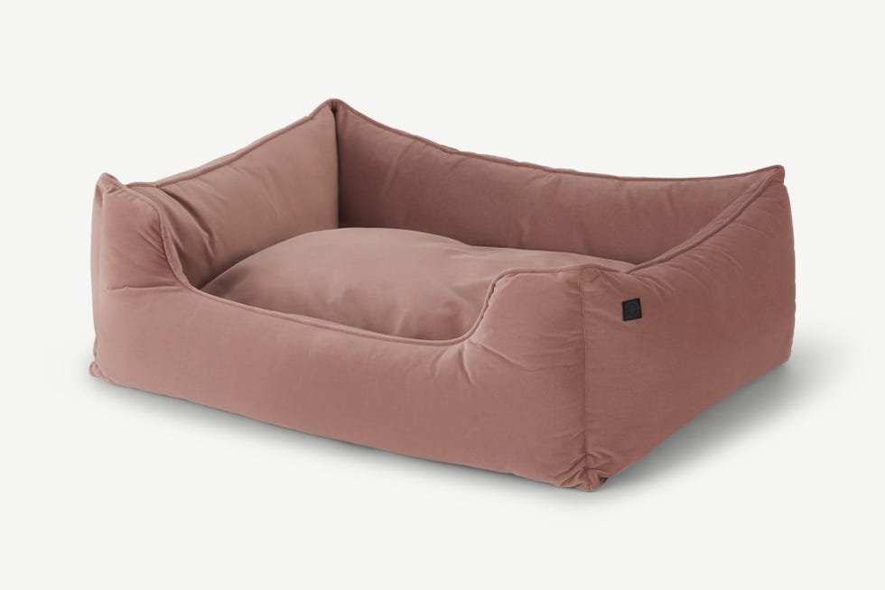 Para perritas coquetas