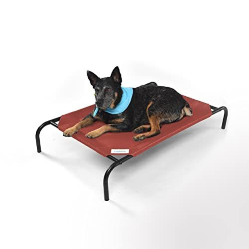 Coolaroo Original Cooling Elevated Pet Bed