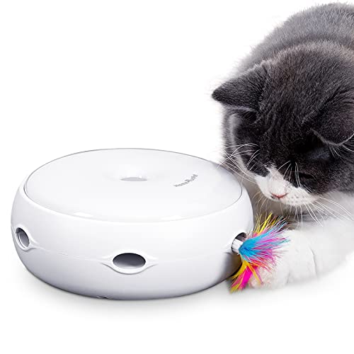 Un juguete para gatos