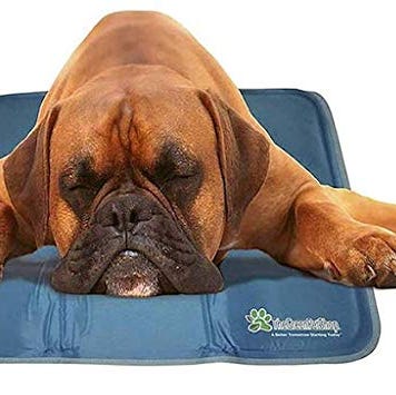 Dog Cooling Mat