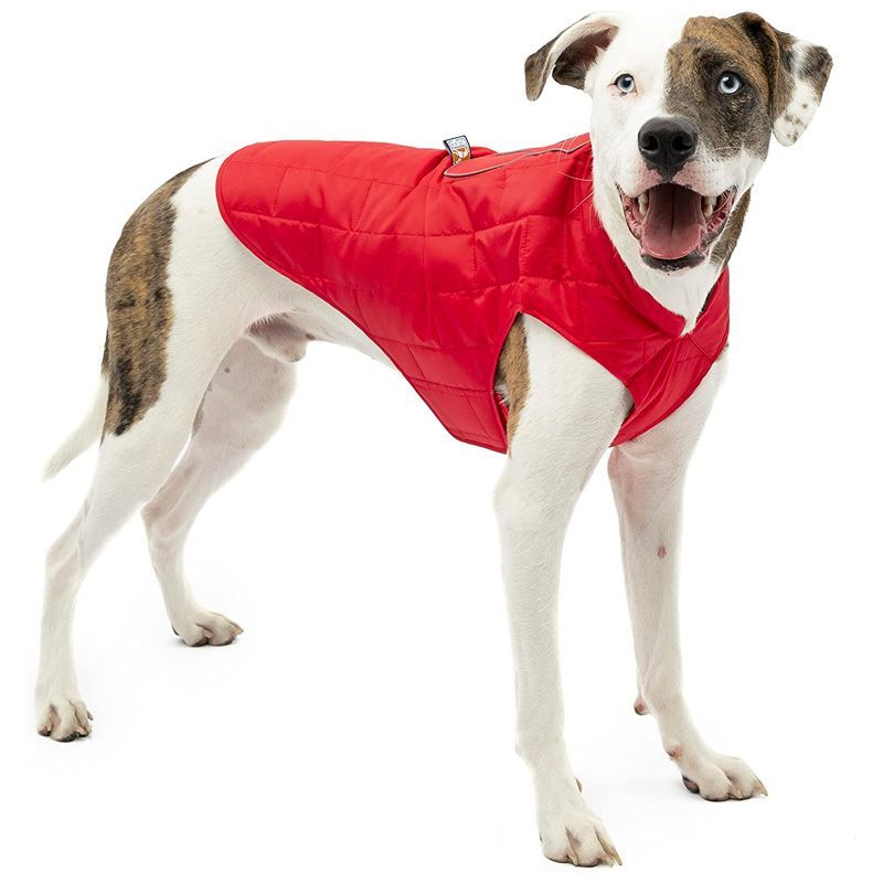 Best Winter Dog Coats of 2022 Insulated Coats for Dogs