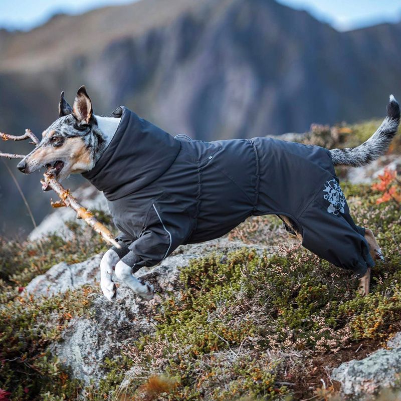 Hurtta Extreme Overall Dog Snowsuit