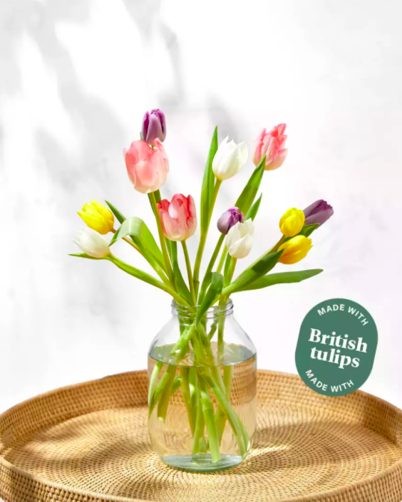 The Letterbox British Tulips