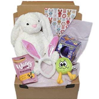 Bunny Gift Box For Dogs 