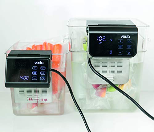 Precision immersion circulator "Imersa Pro"