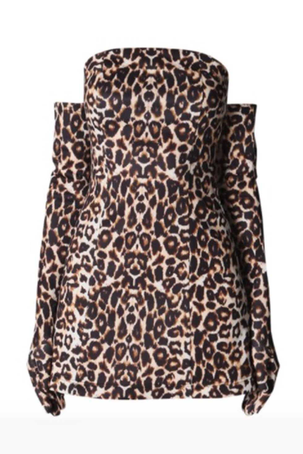 How To Pick A Leopard Print Shirt Dress For The Office