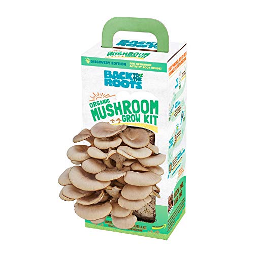 Back to the Roots Organic Oyster Mushroom Grow Kit