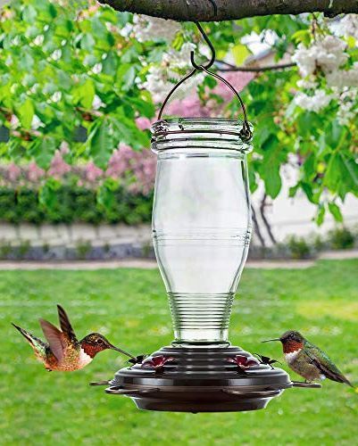 top 10 hummingbird feeders