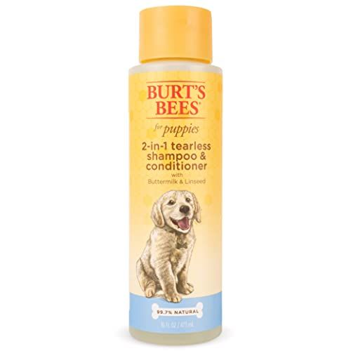 what dog shampoo is best for mange