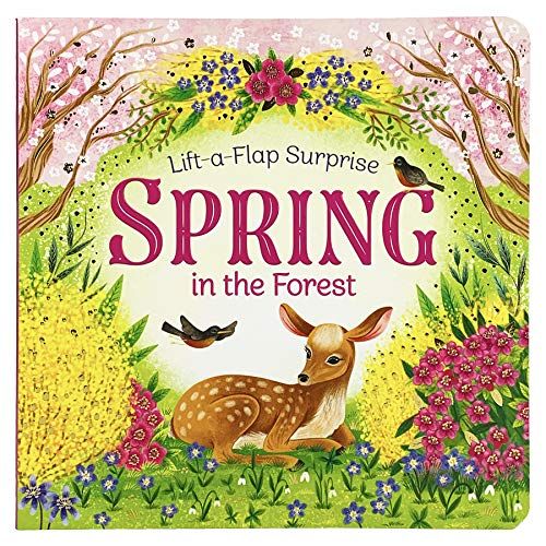 ‘Spring in the Forest’ by Rusty Finch, illustrated by Katya Longhi