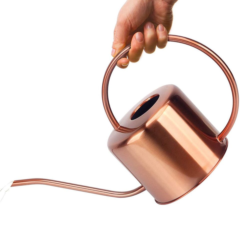 Decorative Copper Watering Can