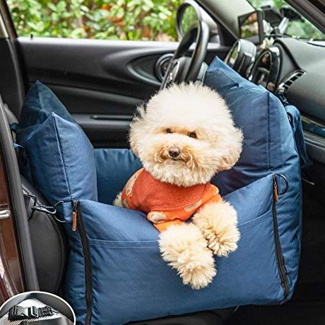 Queens Nose Dog Car Seat