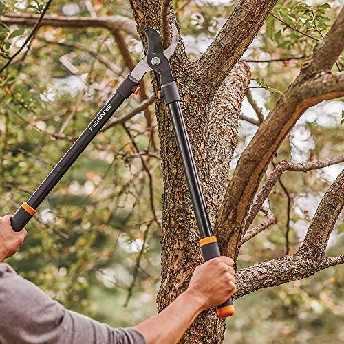 The 21 Best Amazon Garden Tools - Gardening Tool Sets