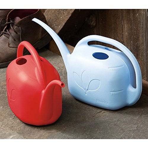 1-Gallon Watering Can