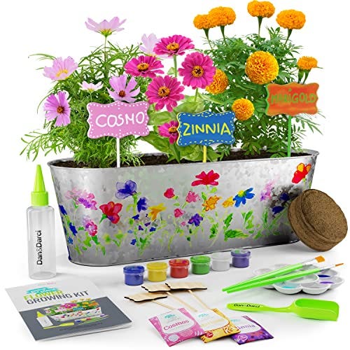Paint & Plant Flower Kit