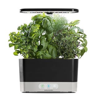 Aerogarden Harvest Indoor Garden Aerogarden Harvest Indoor Garden