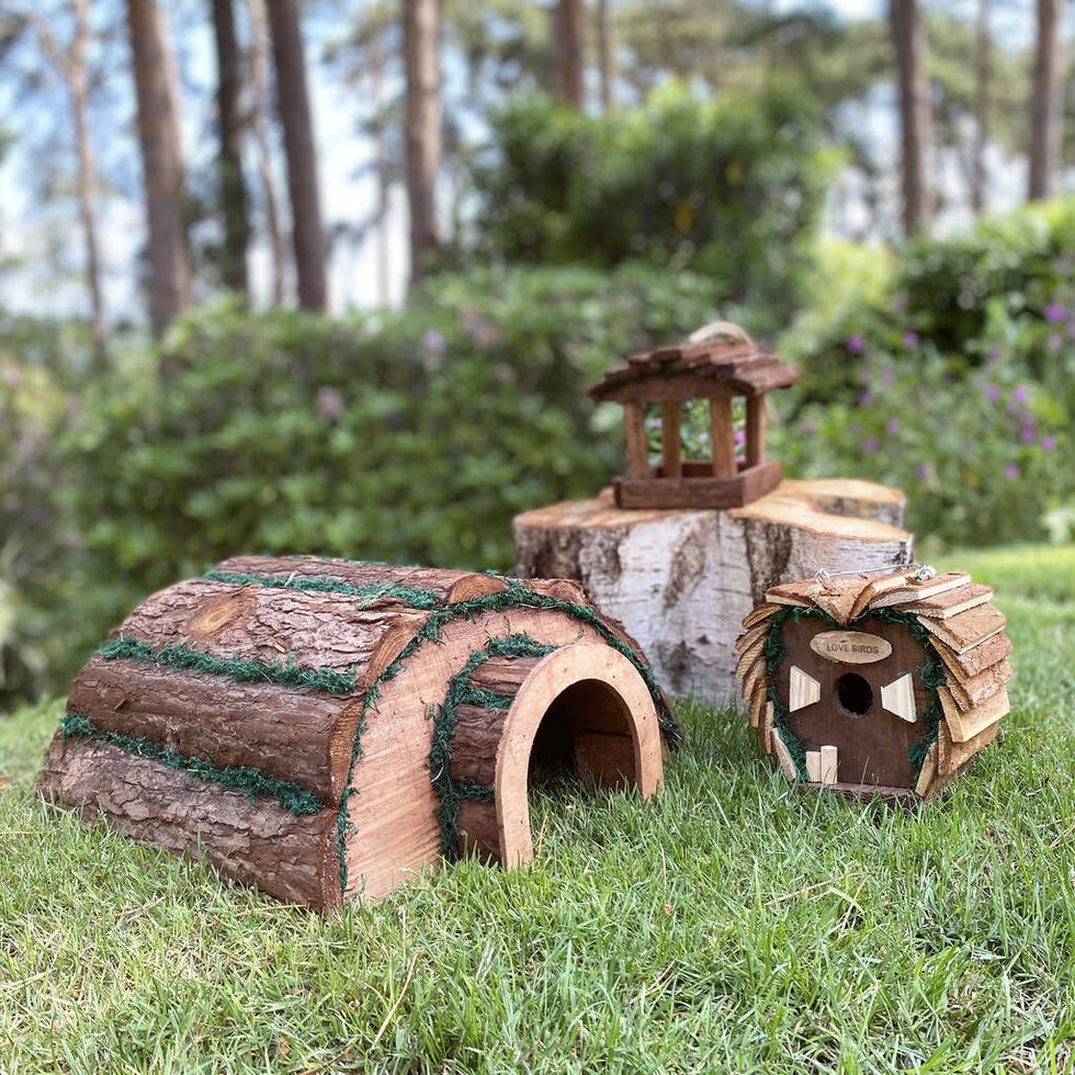 Wildlife Set For Hedgehogs And Birds, £29.99