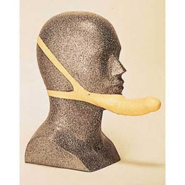 14 Weird Sex Toys To Blow Your Mind