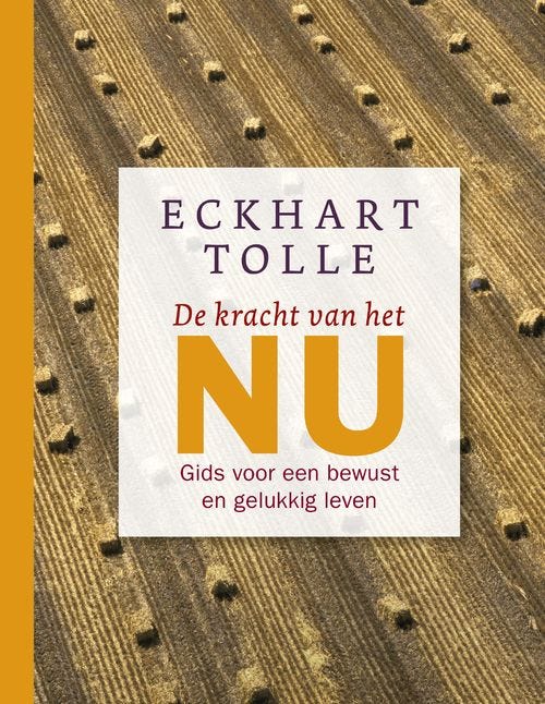 De kracht van het nu- Eckhart Tolle 