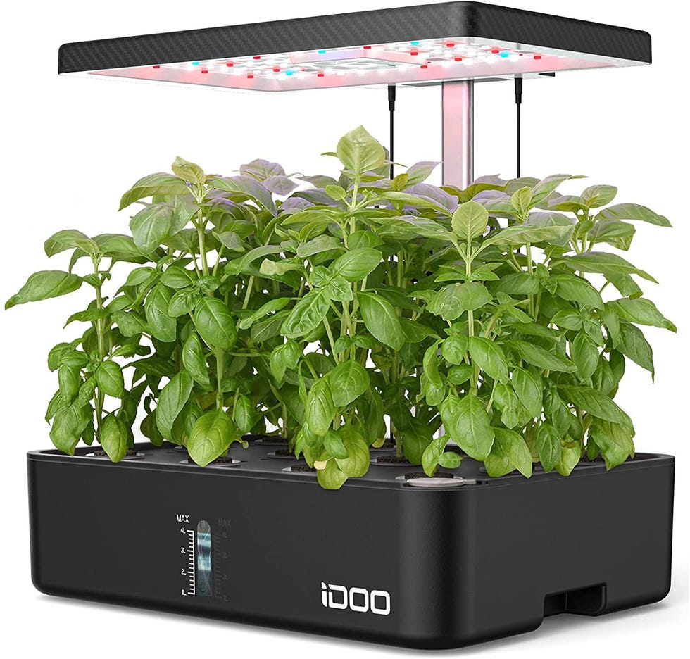 Hydroponics Growing System