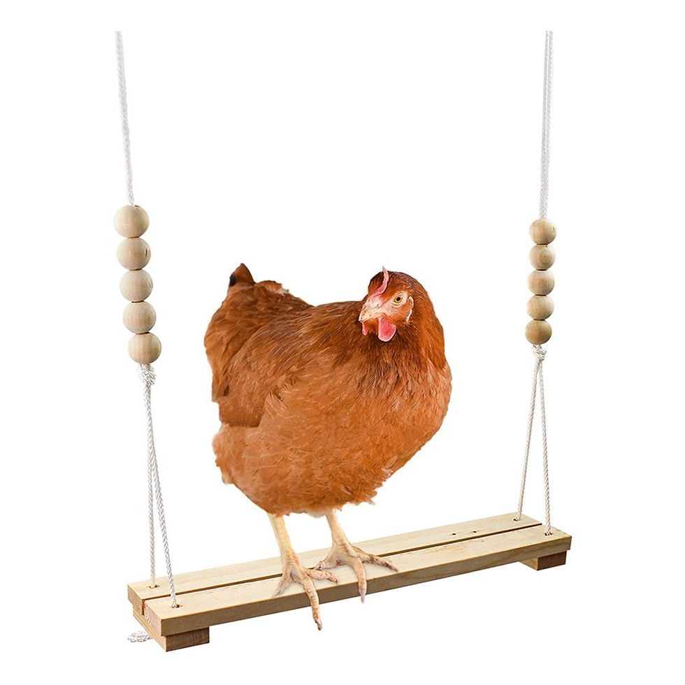 These 14 Products Will Be Wow-Worthy Gifts for Chicken Lovers