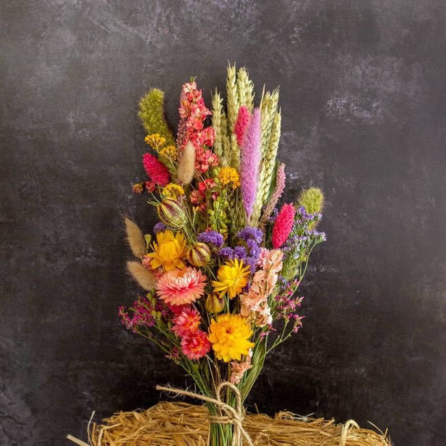 Dried Flowers In Spring Shades