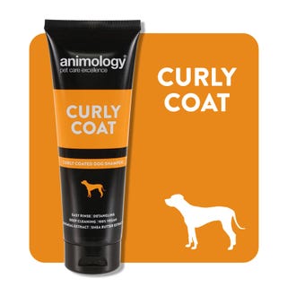 Curly Coat Dog Shampoo