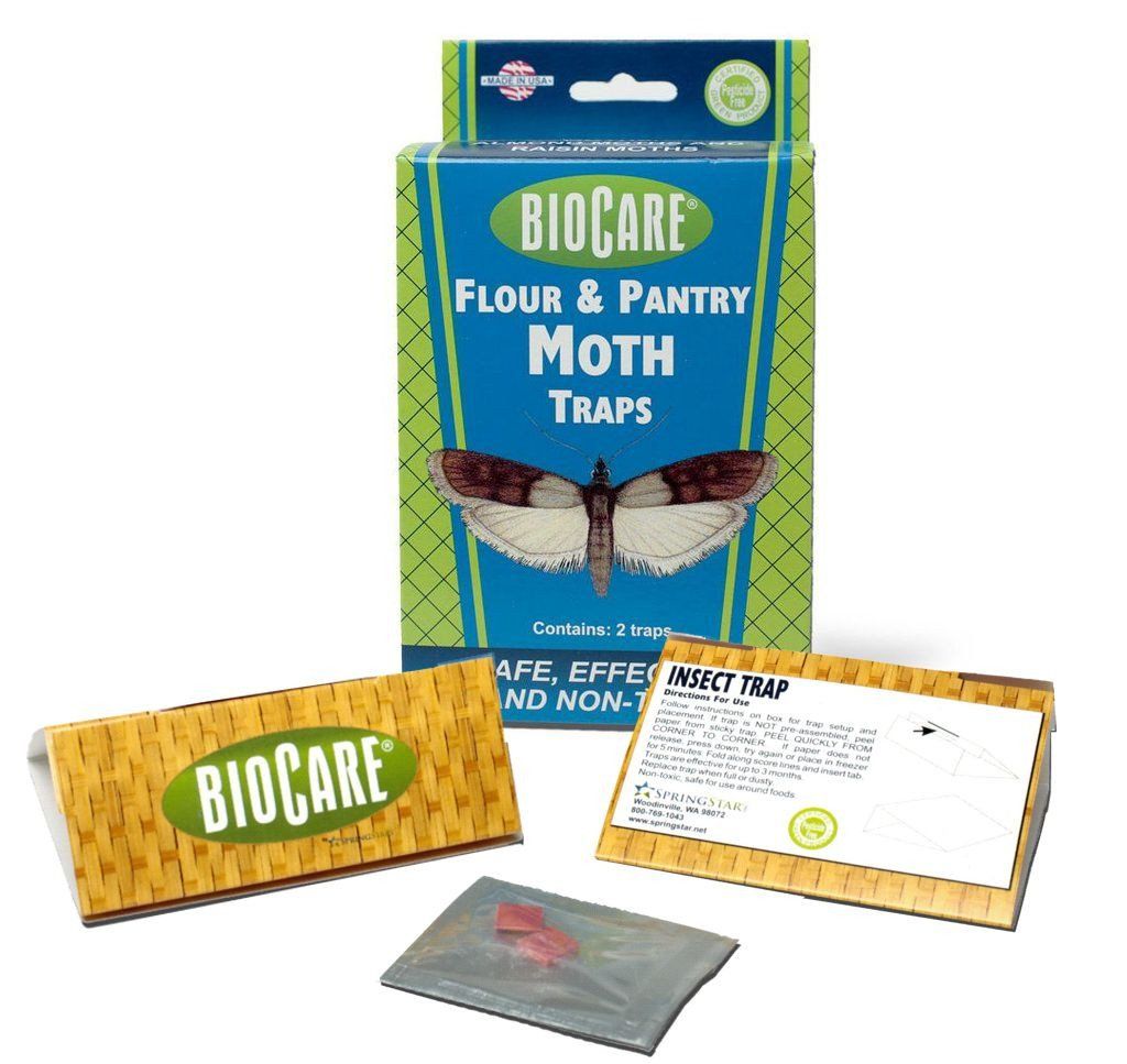 How To Get Rid Of Moths At Home Kill Pantry Clothes Moths   1647281356 15cd2c1a 7b33 446c B55b 86c22e1cf821 1.73c146f3c9168eb99cfb4ad76a8160d9 