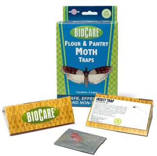 Flour and Pantry Moth Traps