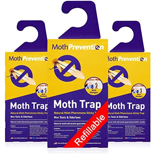 Powerful Moth Traps for Clothes Closets