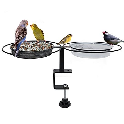 The 12 Best Bird Feeders in 2022 - Popular Bird Feeders to Buy