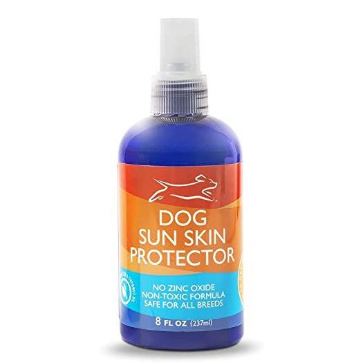 can you use baby sunscreen on dogs