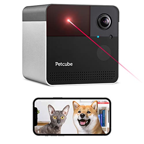 petcube review