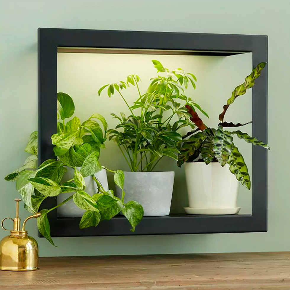 25 Best Plant Stands For Displaying Your Houseplants - Shop Every