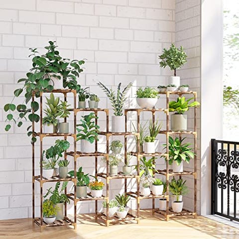 25 Best Plant Stands For Displaying Your Houseplants - Shop Every Type ...