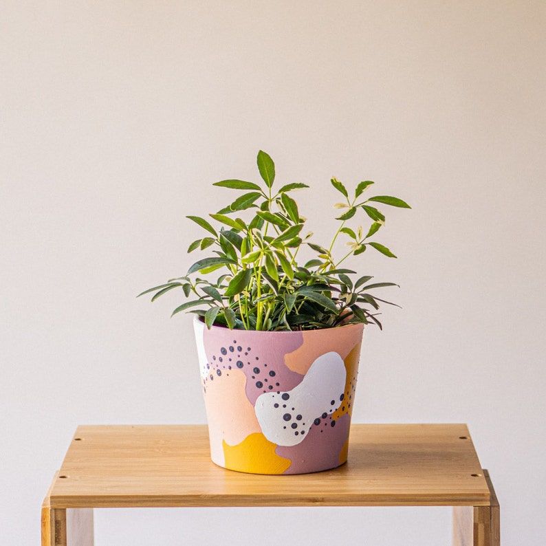 Pynk and Dots Planter
