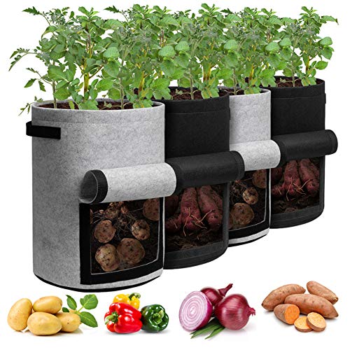 How To Grow Potatoes in a Bag