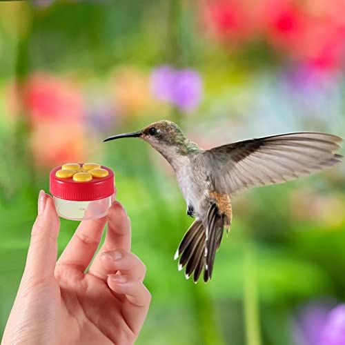 Aroma Trees 2 Mini Hand Held Hummingbird Feeders with Instructions and Kit 