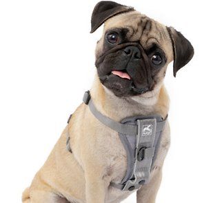Kurgo Tru-Fit Smart Quick Release Dog Walking Harness