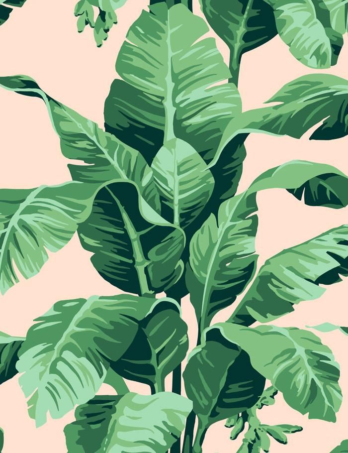 'Pacifico Palm' Wallpaper by Nathan Turner
