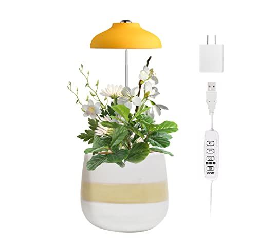 Tabletop deals plant light