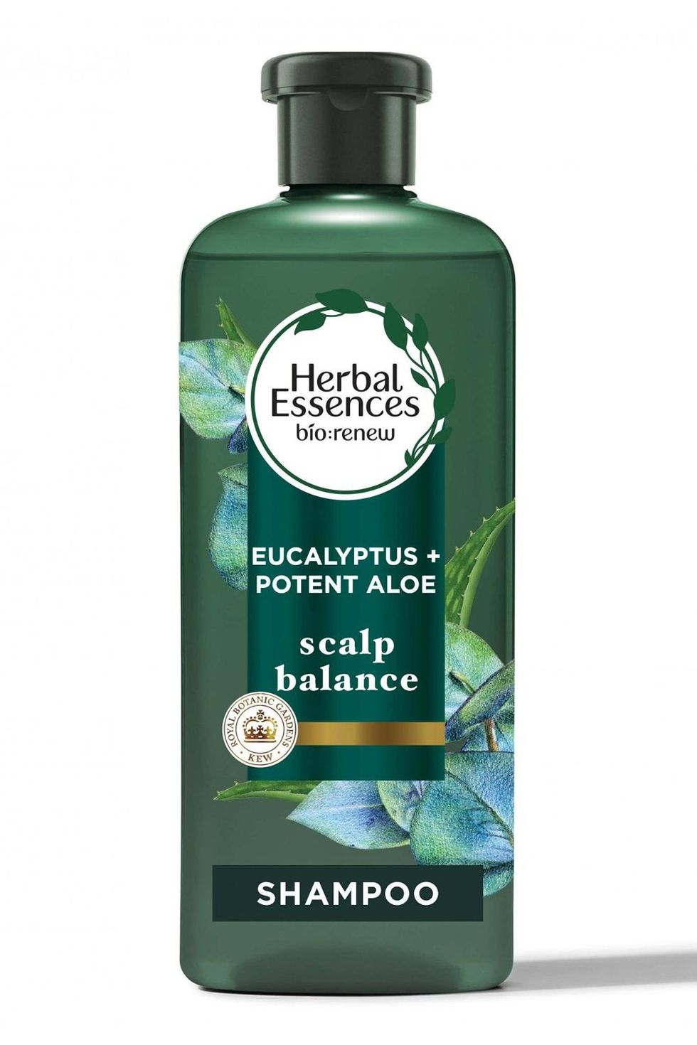 Herbal Essences Bio:Renew Eucalyptus + Potent Aloe Scalp Balance Shampoo