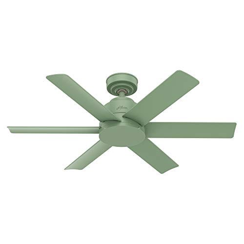 Indoor/Outdoor Ceiling Fan
