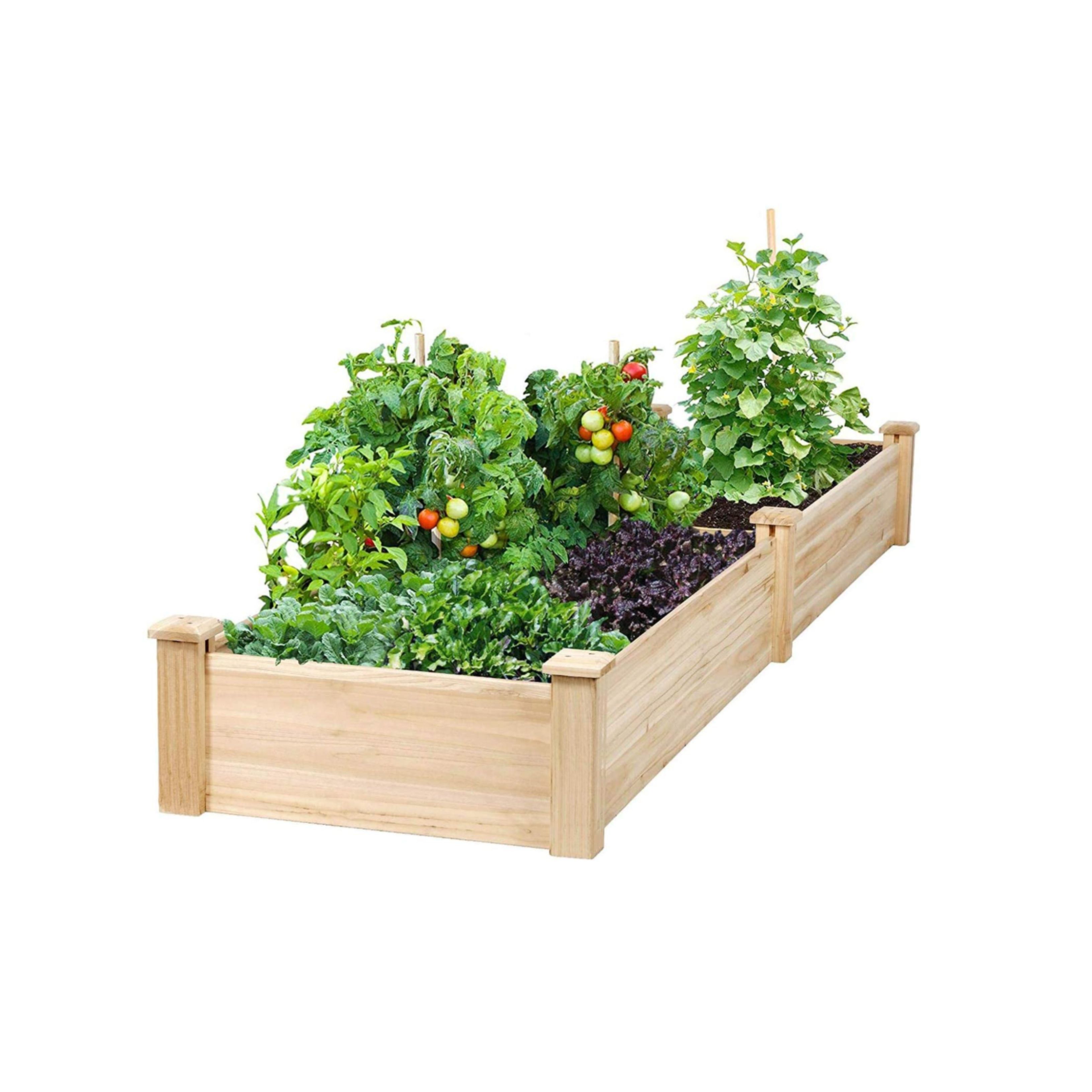 12 Best Raised Garden Beds in 2023: Shop Our Picks