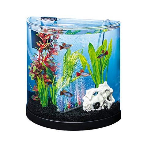 9 Best Fish Tanks in 2022 - Fish Tank Reviews