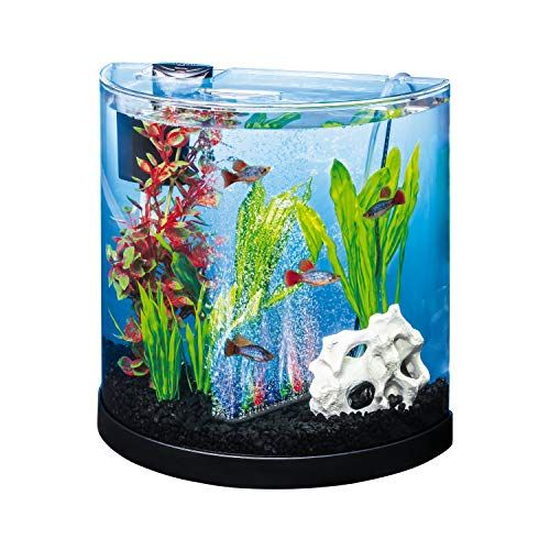 Types of Fish Tanks- Which One is the Best for You - Bunnycart Blog
